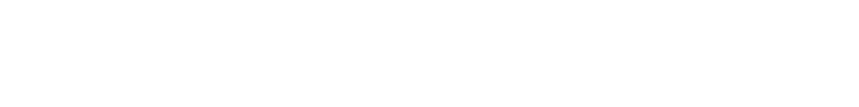 SundaramFinance-white